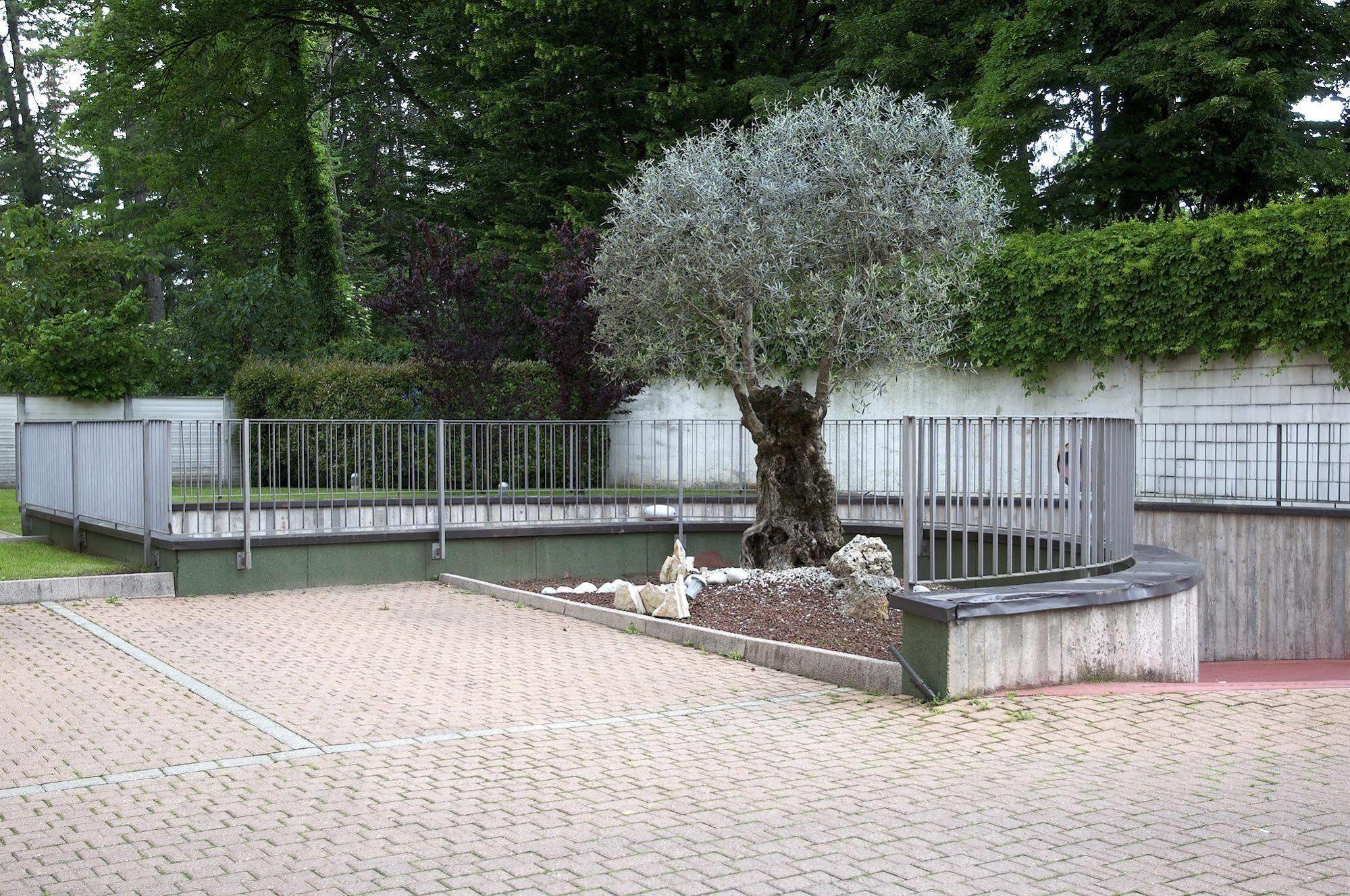 2c 3* Legnano